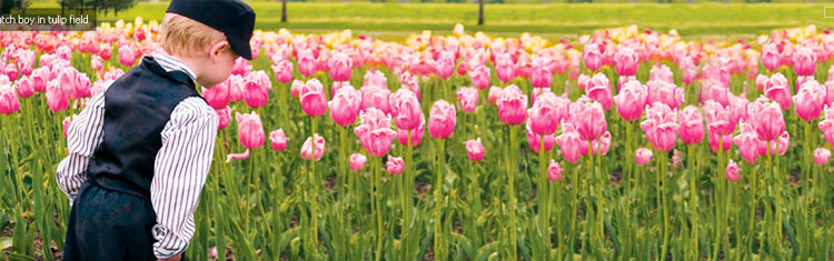 Amawaterways Tulip Time cruise